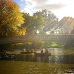 Boats Under Bow Bridge, Central Park